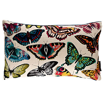 Harlequin Papilio Butterflies Cushion, Multi